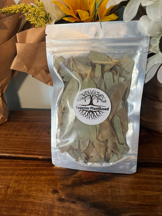 Soursop Eucalyptus Tea Blend