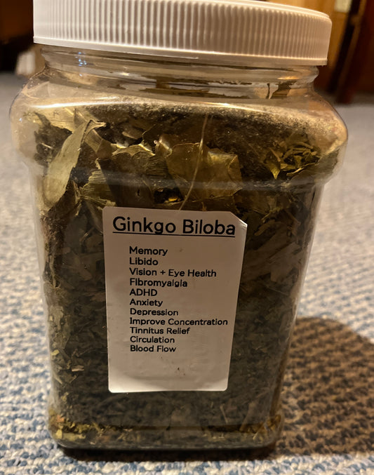 Ginkgo Bilbo
